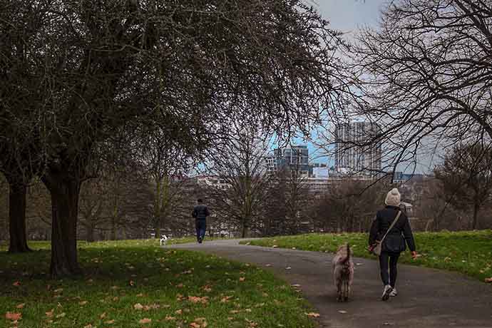 primrose-hill-dog-walking