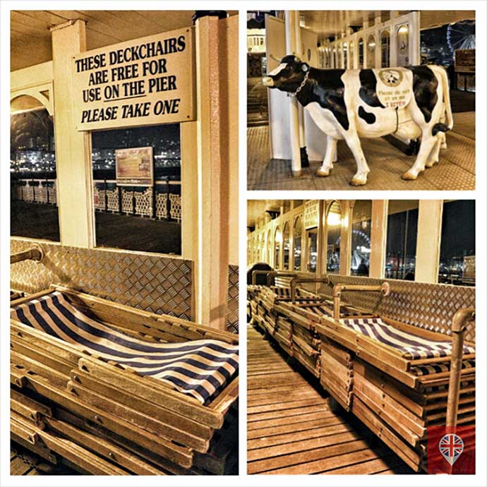 brighton pier cow chairs