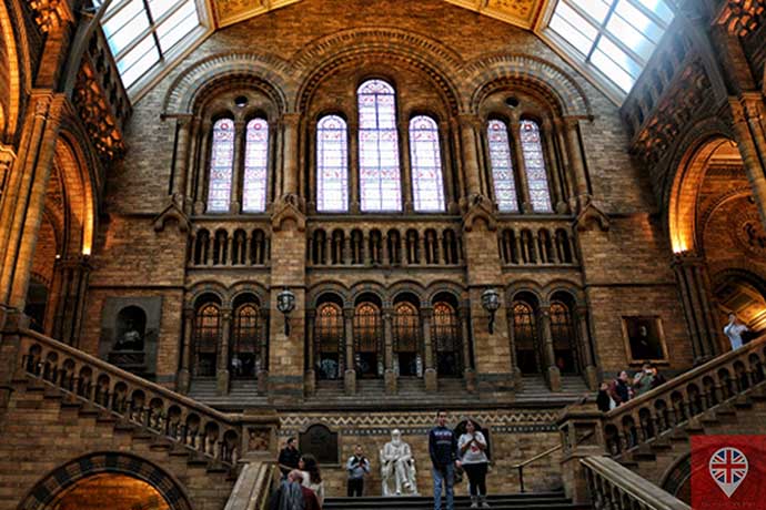 natural history museum darwin