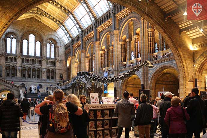 natural history museum dippy