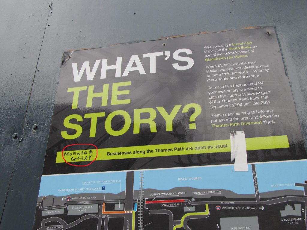 mornig-glory-1024x768