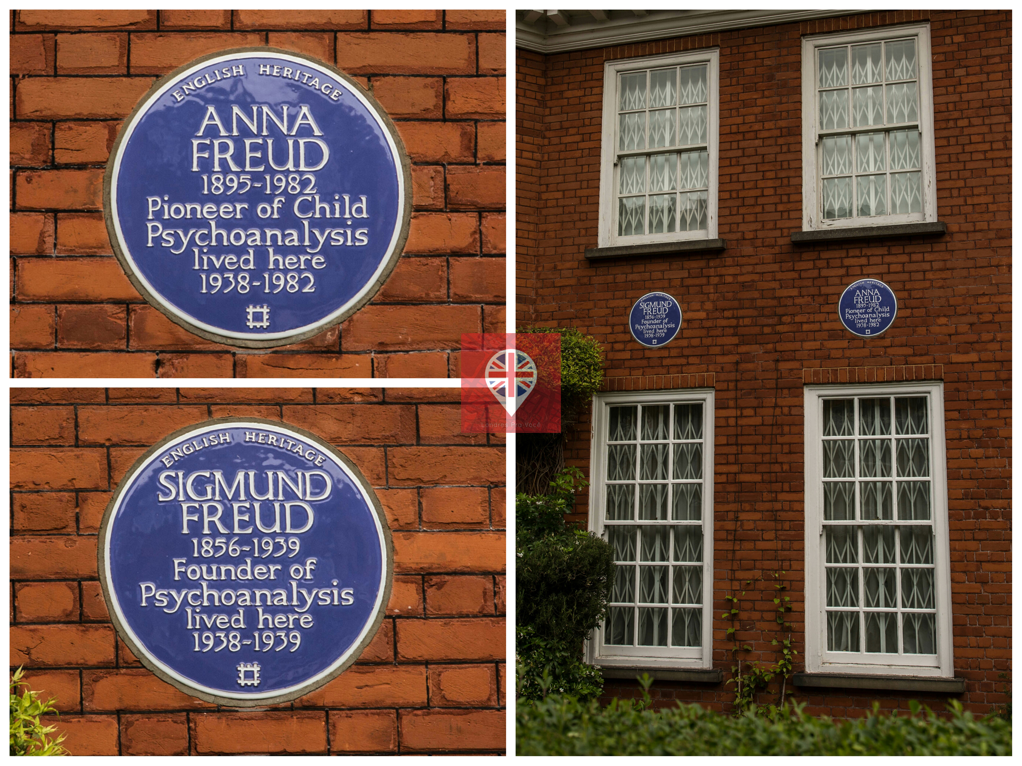 PhotoGrid_1463843558291