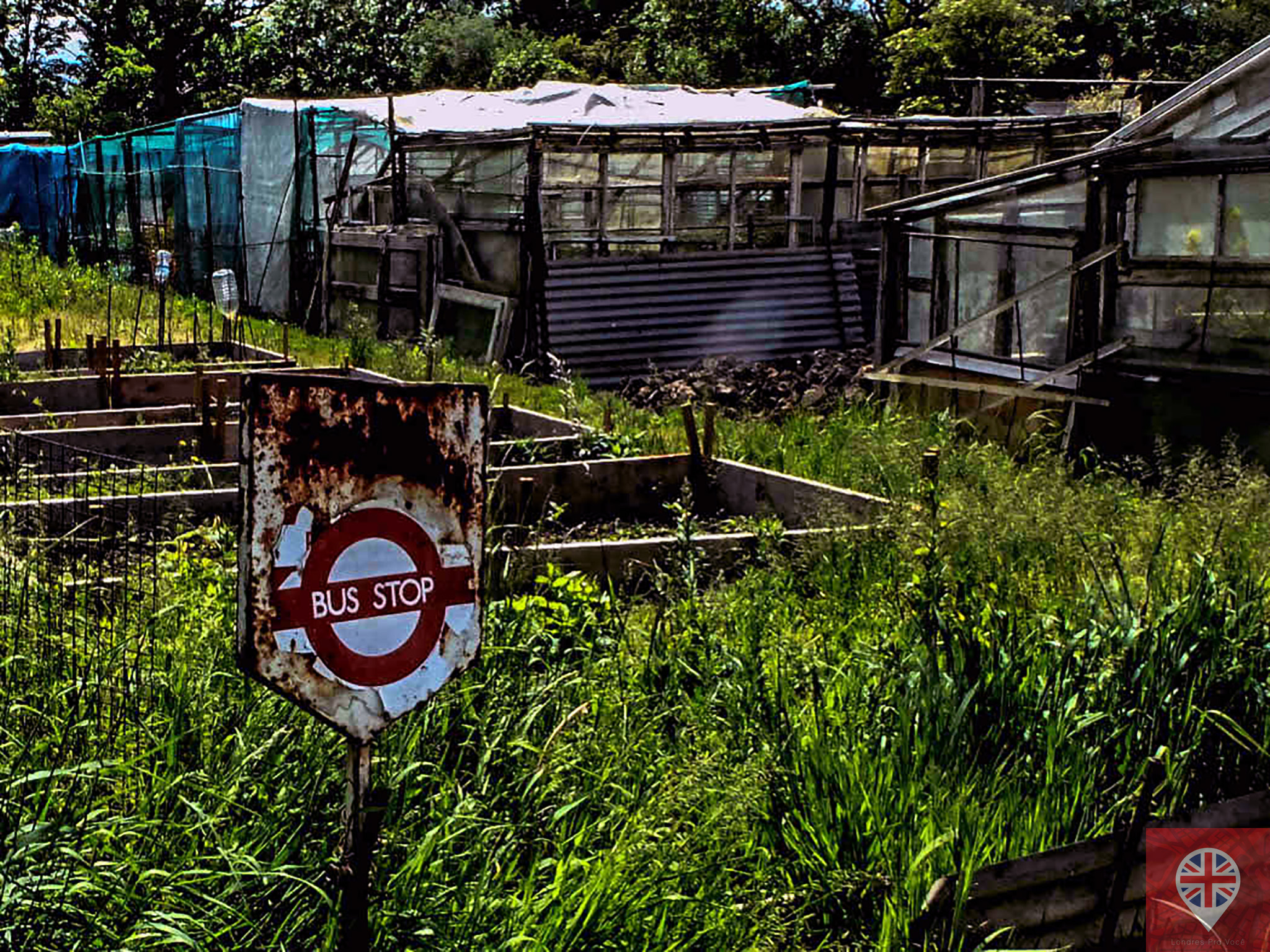 17653030783_7809d6b58f_o