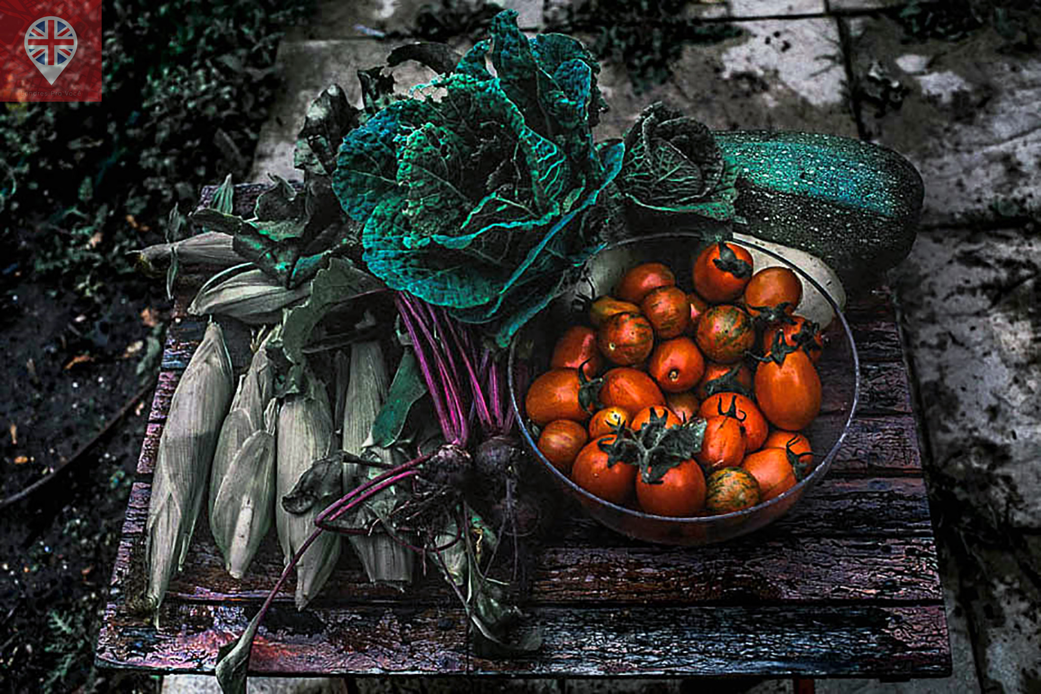 20981722739_330d22edea_o