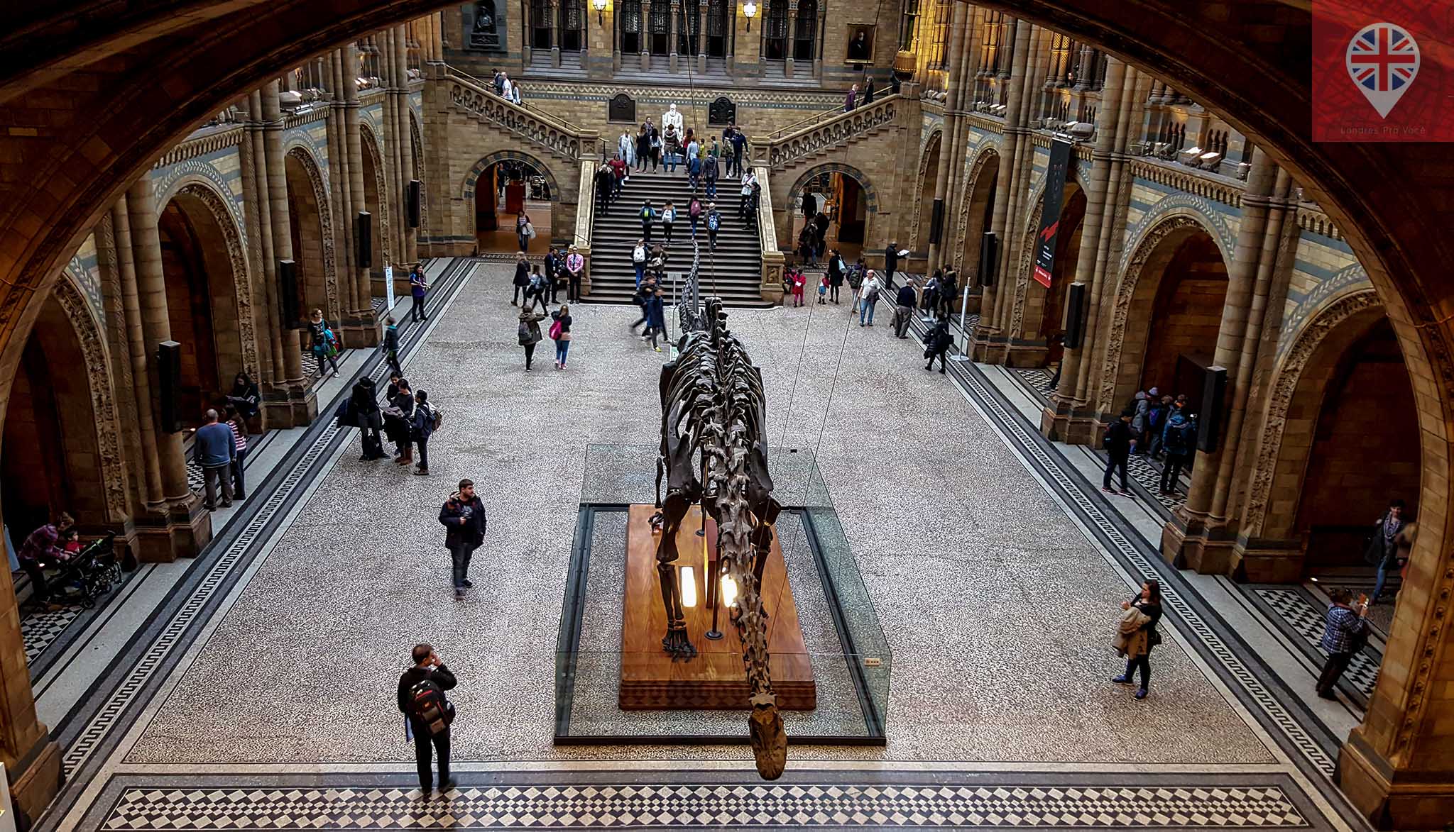 museu-de-historia-natural-dippy