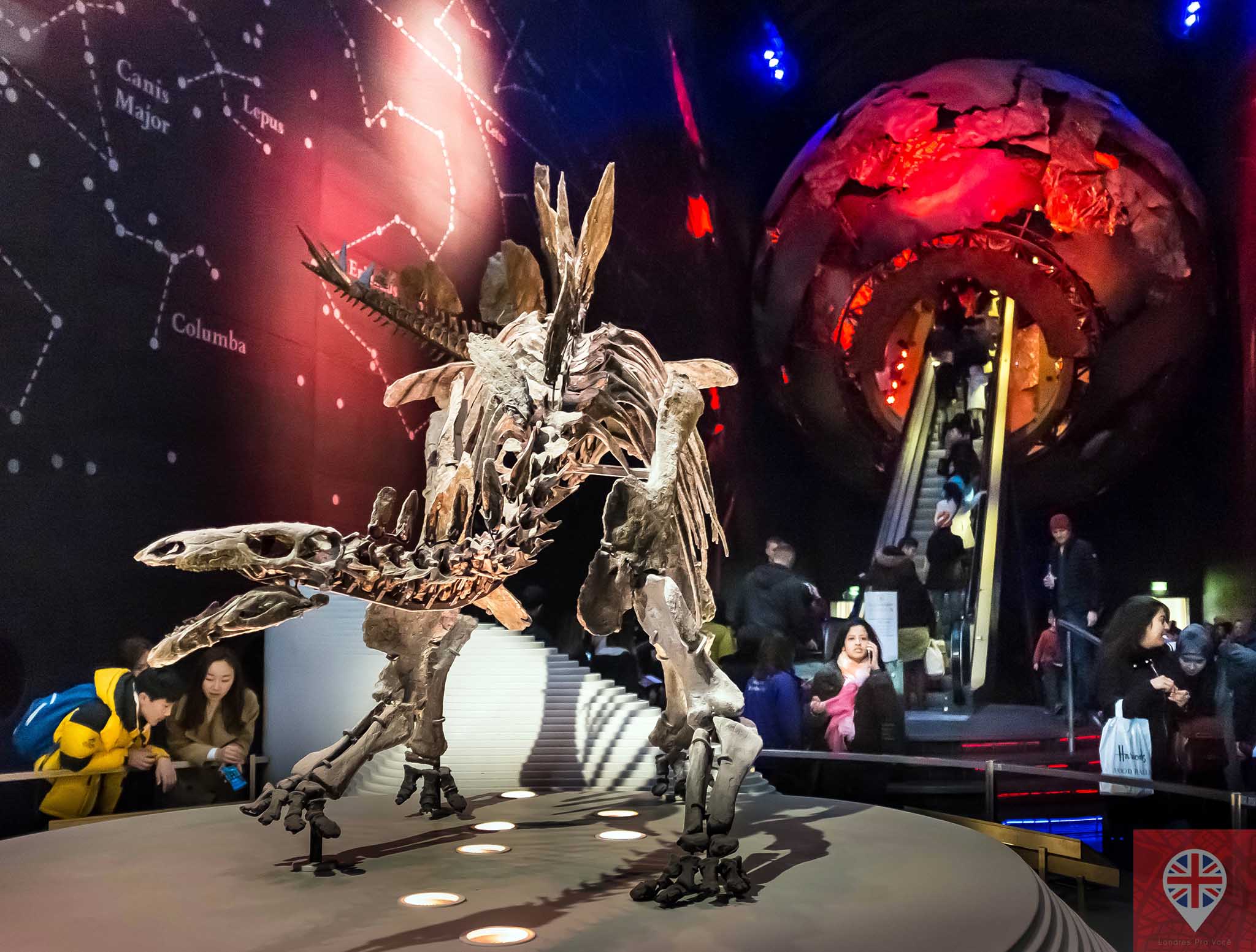 museu-de-historia-natural-earth-hall