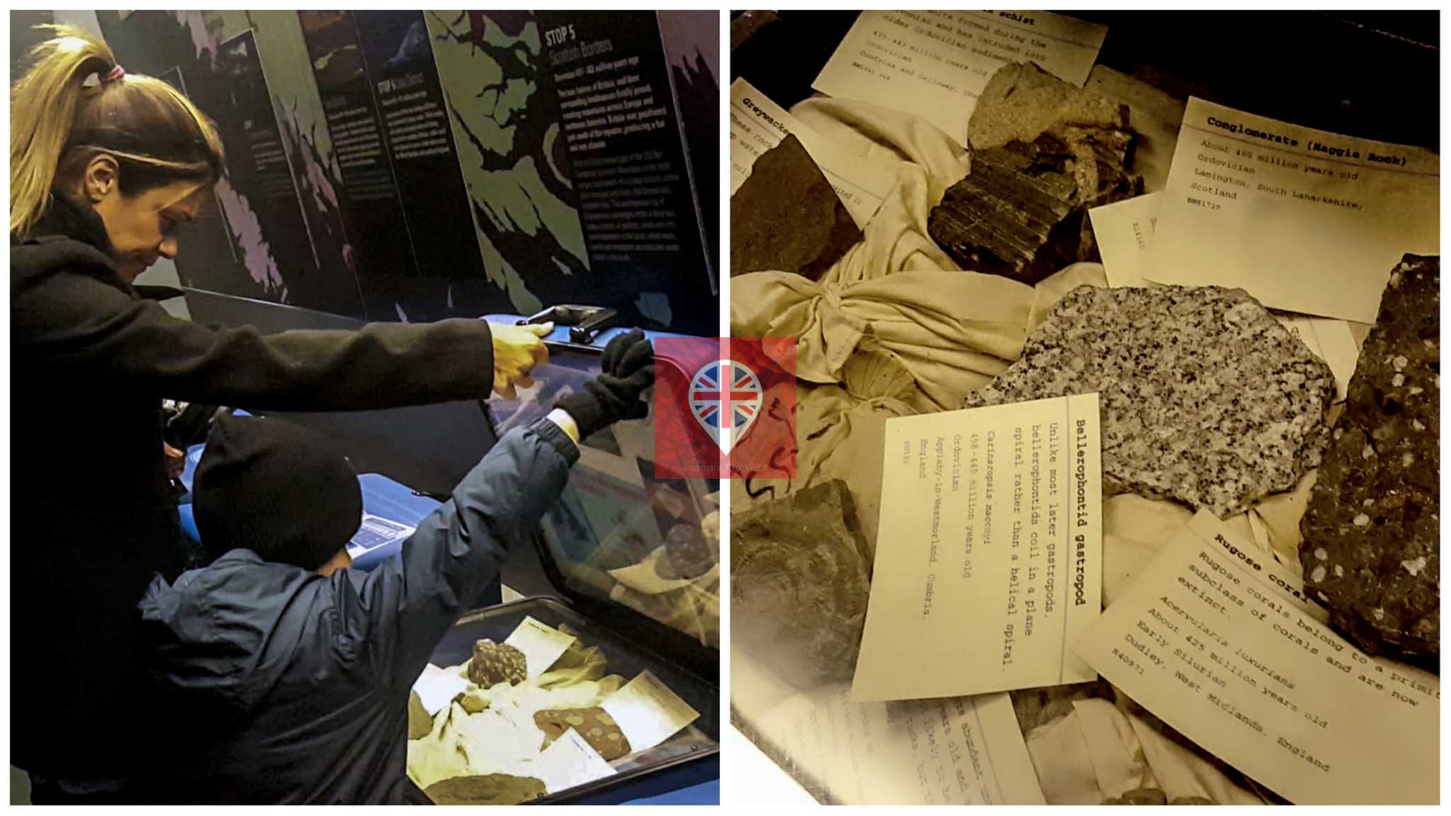 museu-de-historia-natural-geologia