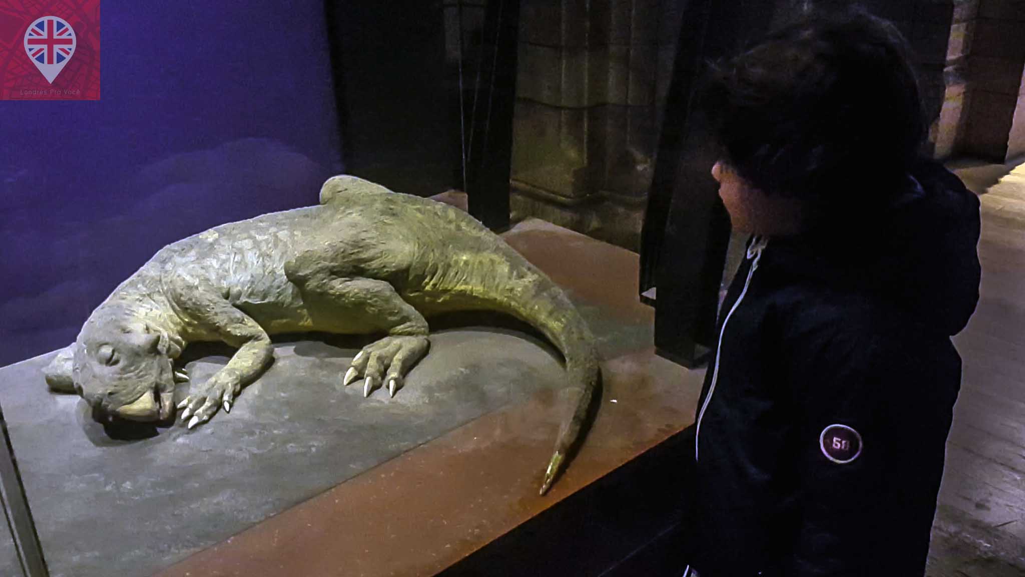 museu-de-historia-natural-lagarto