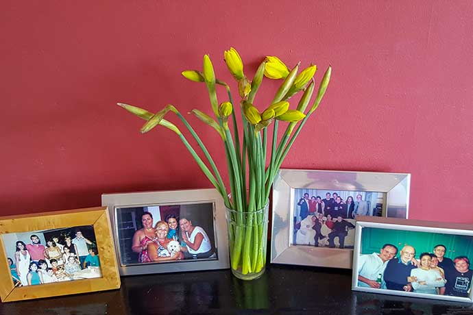 daffodils on mantelpiece
