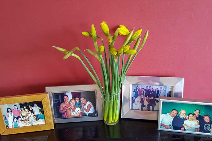 daffodils on mantelpiece