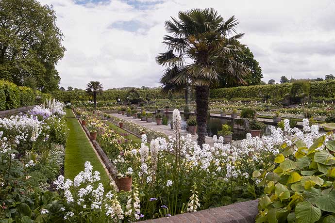 kensington-palace-white-garden-flowers