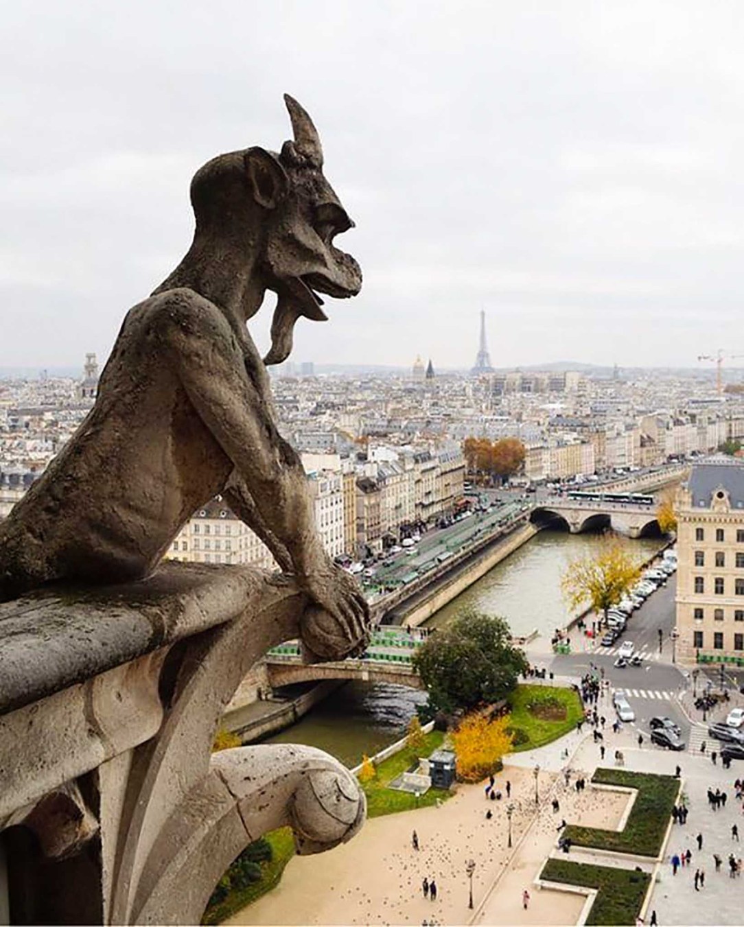 Notre Dame view gargoyle