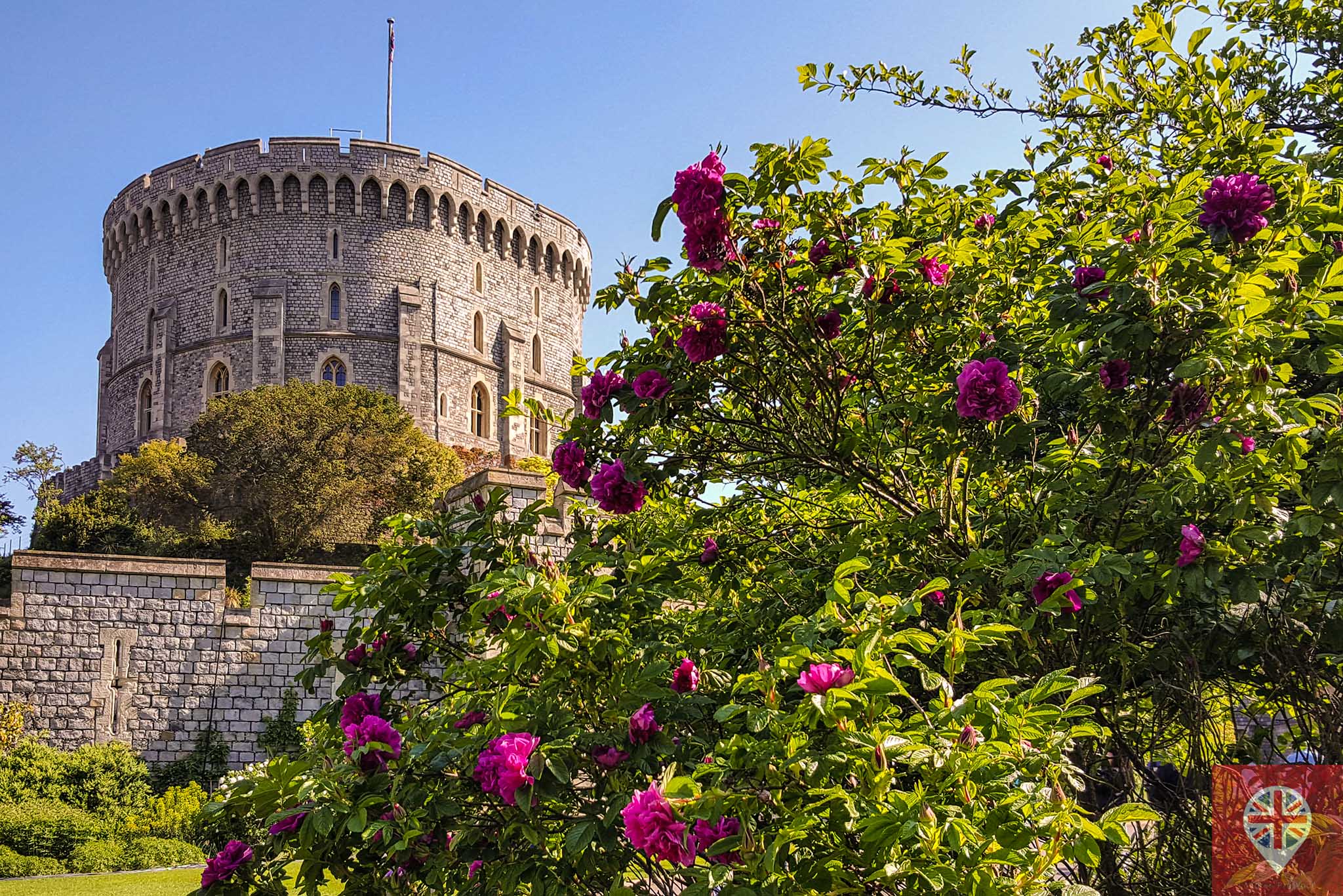 windsor castle flowers