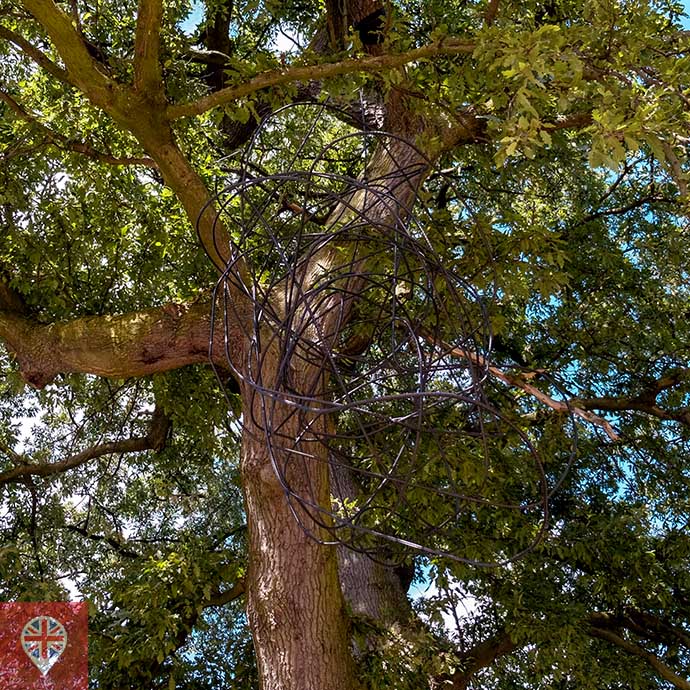 frieze 2018 Rebar 12