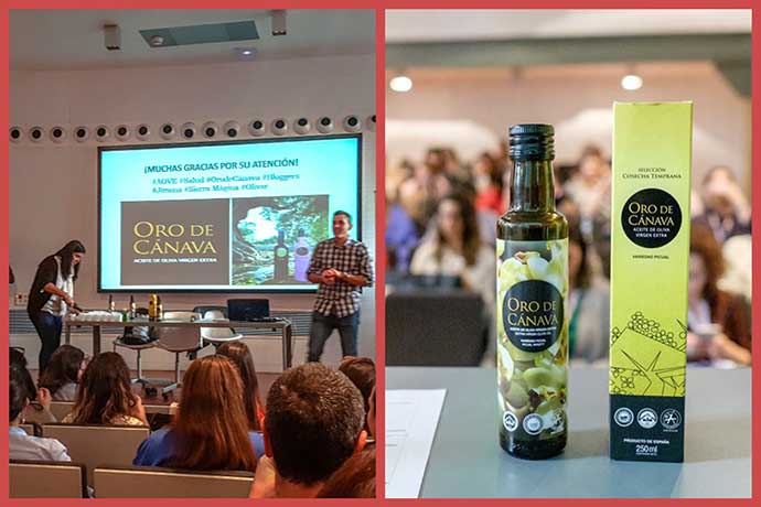 veebb palestra oro de canava