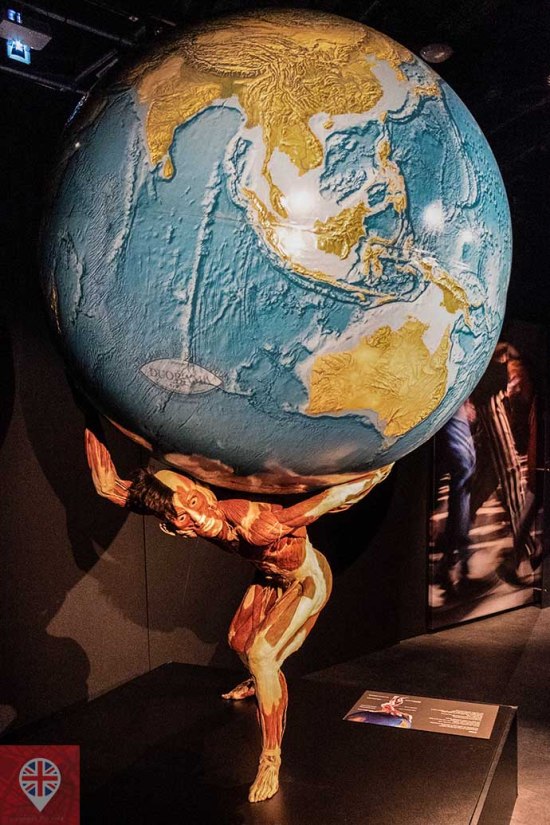 Body Worlds world