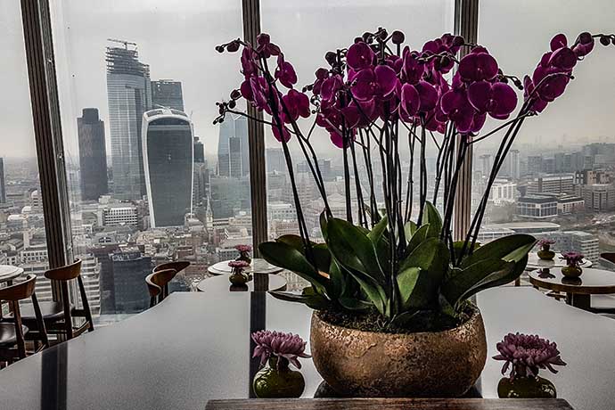 the shard shangrila vista