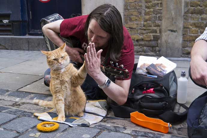 a-street-cat-named-bob-high-five