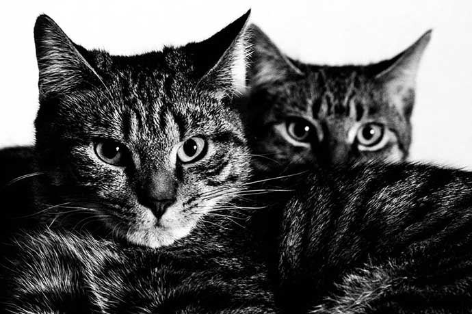 Mulder Scully B&amp;W